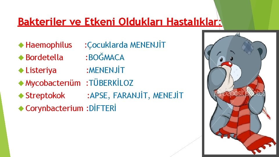 Bakteriler ve Etkeni Oldukları Hastalıklar: Haemophilus : Çocuklarda MENENJİT Bordetella : BOĞMACA Listeriya : Bakteriler ve Etkeni Oldukları Hastalıklar: Haemophilus : Çocuklarda MENENJİT Bordetella : BOĞMACA Listeriya :