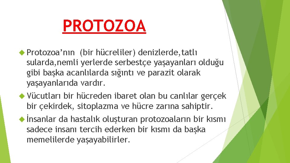 PROTOZOA Protozoa’nın (bir hücreliler) denizlerde, tatlı sularda, nemli yerlerde serbestçe yaşayanları olduğu gibi başka PROTOZOA Protozoa’nın (bir hücreliler) denizlerde, tatlı sularda, nemli yerlerde serbestçe yaşayanları olduğu gibi başka