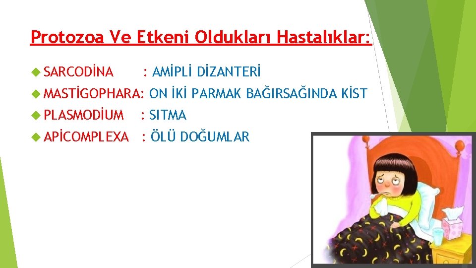 Protozoa Ve Etkeni Oldukları Hastalıklar: SARCODİNA : AMİPLİ DİZANTERİ MASTİGOPHARA: ON İKİ PARMAK BAĞIRSAĞINDA Protozoa Ve Etkeni Oldukları Hastalıklar: SARCODİNA : AMİPLİ DİZANTERİ MASTİGOPHARA: ON İKİ PARMAK BAĞIRSAĞINDA