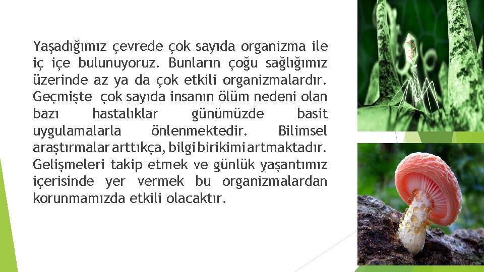 Yaşadığımız çevrede çok sayıda organizma ile iç içe bulunuyoruz. Bunların çoğu sağlığımız üzerinde az Yaşadığımız çevrede çok sayıda organizma ile iç içe bulunuyoruz. Bunların çoğu sağlığımız üzerinde az
