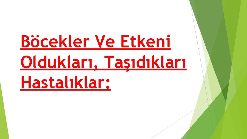 Böcekler Ve Etkeni Oldukları, Taşıdıkları Hastalıklar: Böcekler Ve Etkeni Oldukları, Taşıdıkları Hastalıklar: