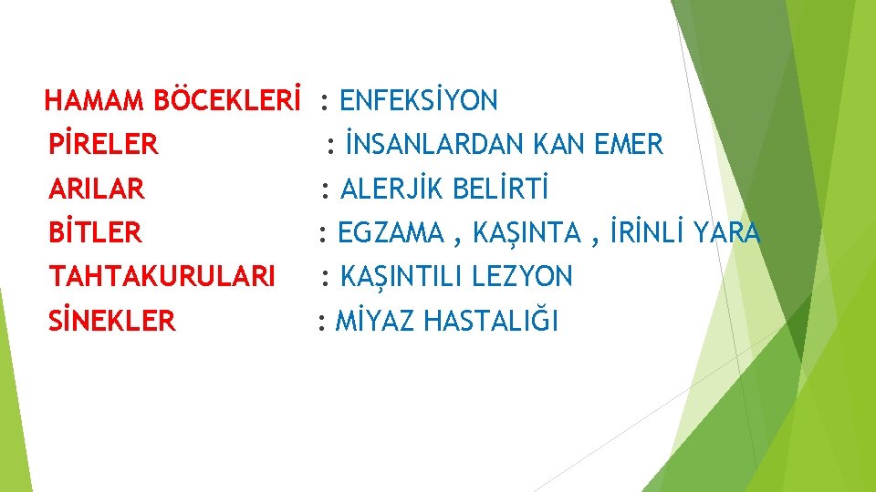 HAMAM BÖCEKLERİ : ENFEKSİYON PİRELER : İNSANLARDAN KAN EMER ARILAR : ALERJİK BELİRTİ BİTLER HAMAM BÖCEKLERİ : ENFEKSİYON PİRELER : İNSANLARDAN KAN EMER ARILAR : ALERJİK BELİRTİ BİTLER