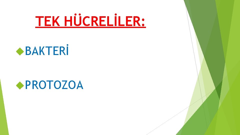 TEK HÜCRELİLER: BAKTERİ PROTOZOA TEK HÜCRELİLER: BAKTERİ PROTOZOA