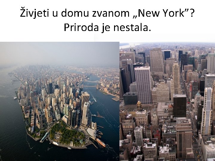 Živjeti u domu zvanom „New York”? Priroda je nestala. 