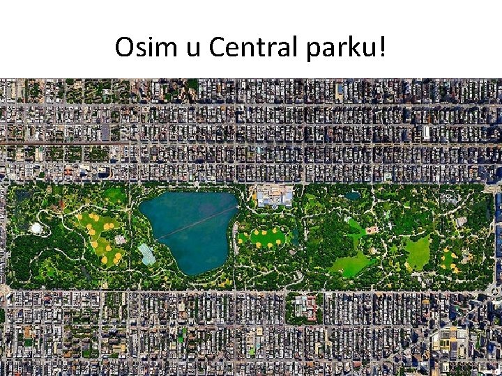 Osim u Central parku! 