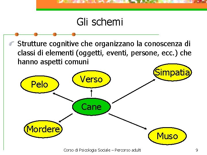 Gli schemi Strutture cognitive che organizzano la conoscenza di classi di elementi (oggetti, eventi,