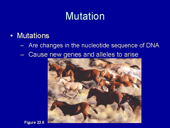 Mutation • Mutations – Are changes in the nucleotide sequence of DNA – Cause