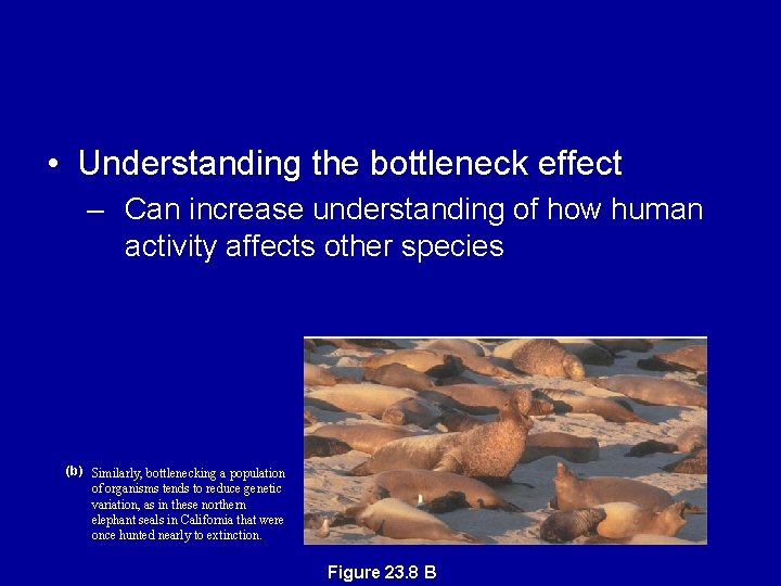  • Understanding the bottleneck effect – Can increase understanding of how human activity