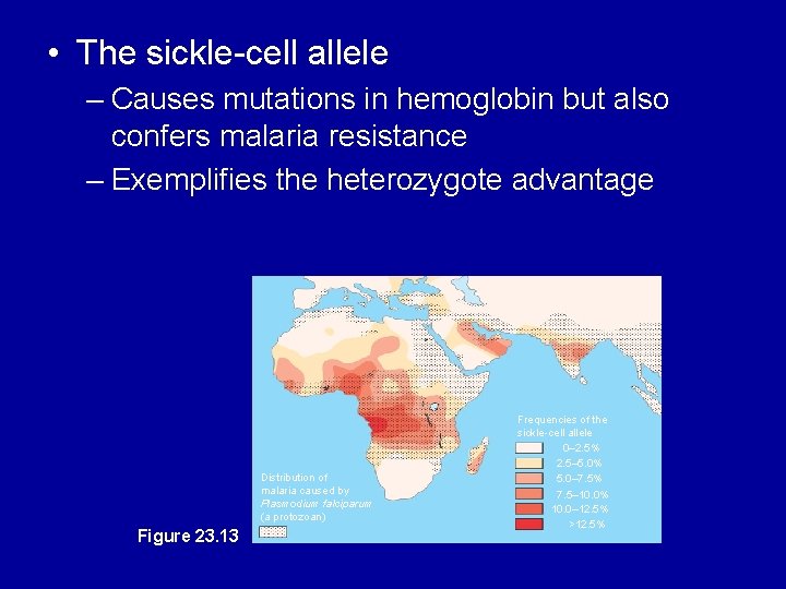  • The sickle-cell allele – Causes mutations in hemoglobin but also confers malaria