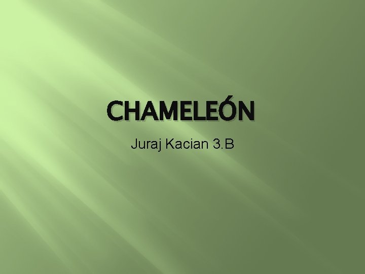 CHAMELEÓN Juraj Kacian 3. B 