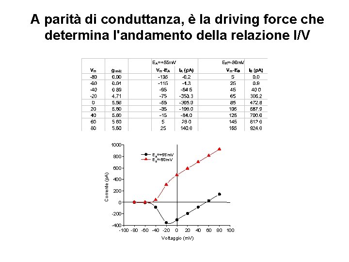 A parità di conduttanza, è la driving force che determina l'andamento della relazione I/V