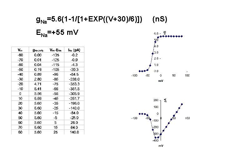 g. Na=5. 6(1 -1/[1+EXP((V+30)/6)]) ENa=+55 m. V (n. S) 