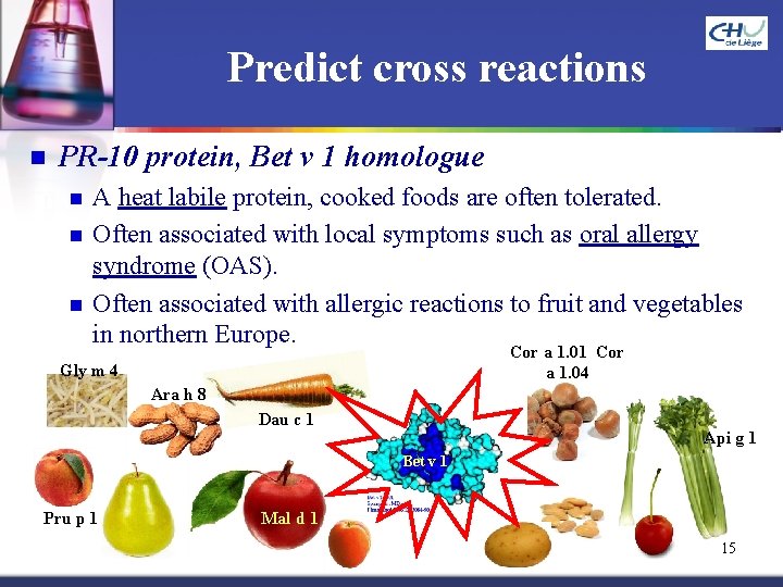 Predict cross reactions n PR-10 protein, Bet v 1 homologue n n n A
