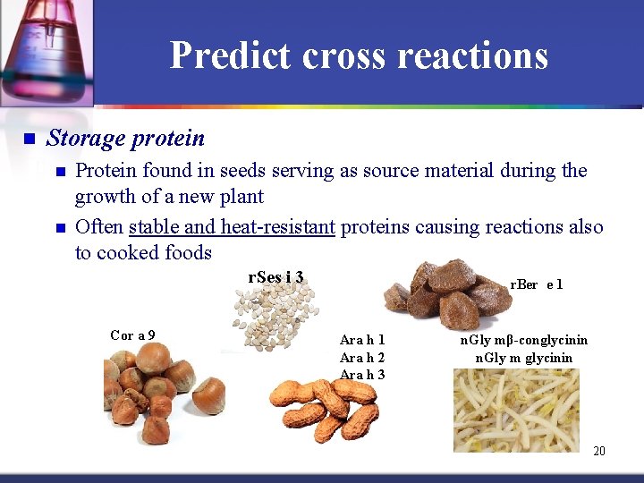 Predict cross reactions n Storage protein n n Protein found in seeds serving as