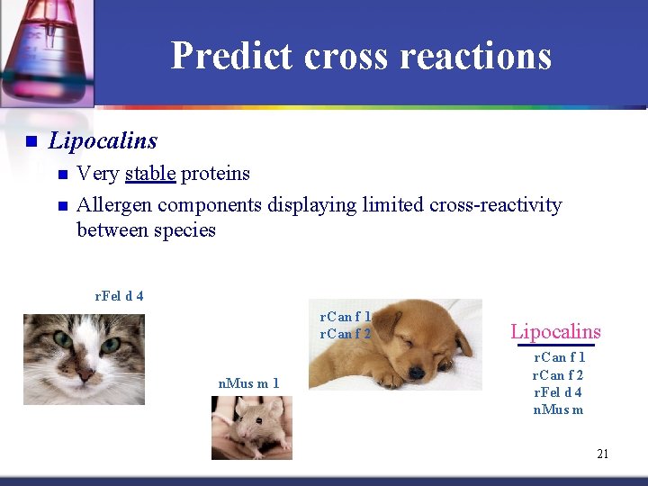 Predict cross reactions n Lipocalins n n Very stable proteins Allergen components displaying limited