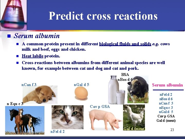 Predict cross reactions n Serum albumin n A common protein present in different biological