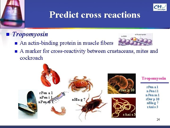 Predict cross reactions n Tropomyosin n n An actin-binding protein in muscle fibers A