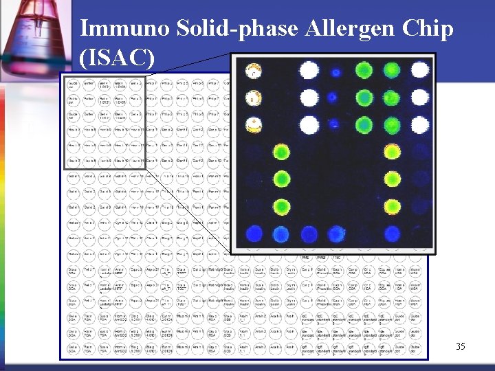 Immuno Solid-phase Allergen Chip (ISAC) 35 