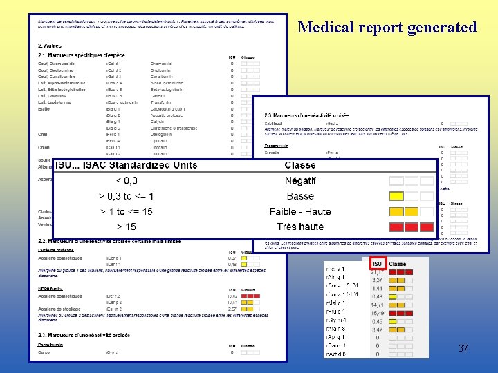 Medical report generated 37 