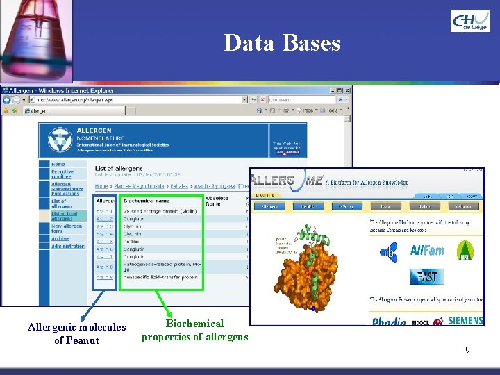  Data Bases Allergenic molecules of Peanut Biochemical properties of allergens 9 