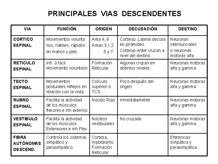  PRINCIPALES VIAS DESCENDENTES VIA FUNCIÓN ORIGEN DECUSACIÓN DESTINO CORTICO ESPINAL Movimientos volunta rios,