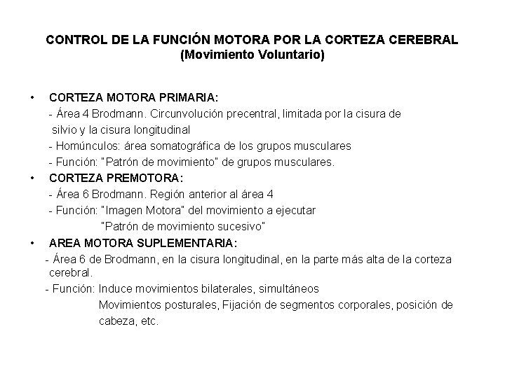 CONTROL DE LA FUNCIÓN MOTORA POR LA CORTEZA CEREBRAL (Movimiento Voluntario) • CORTEZA MOTORA