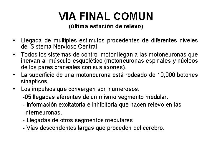 VIA FINAL COMUN (última estación de relevo) • Llegada de múltiples estímulos procedentes de