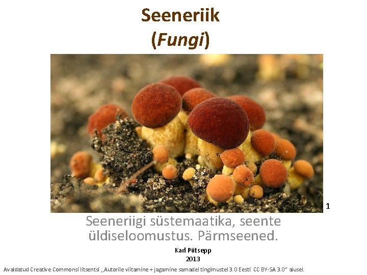 Seeneriik (Fungi) 1 Seeneriigi süstemaatika, seente üldiseloomustus. Pärmseened. Karl Pütsepp 2013 Avaldatud Creative Commonsi