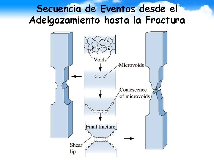 Secuencia de Eventos desde el Adelgazamiento hasta la Fractura 