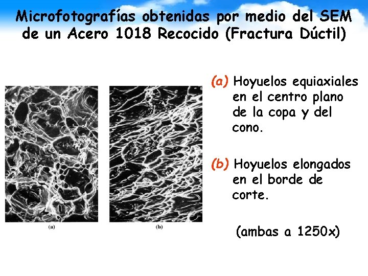 Microfotografías obtenidas por medio del SEM de un Acero 1018 Recocido (Fractura Dúctil) (a)