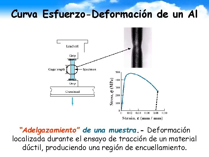 Curva Esfuerzo-Deformación de un Al “Adelgazamiento” de una muestra. - Deformación localizada durante el