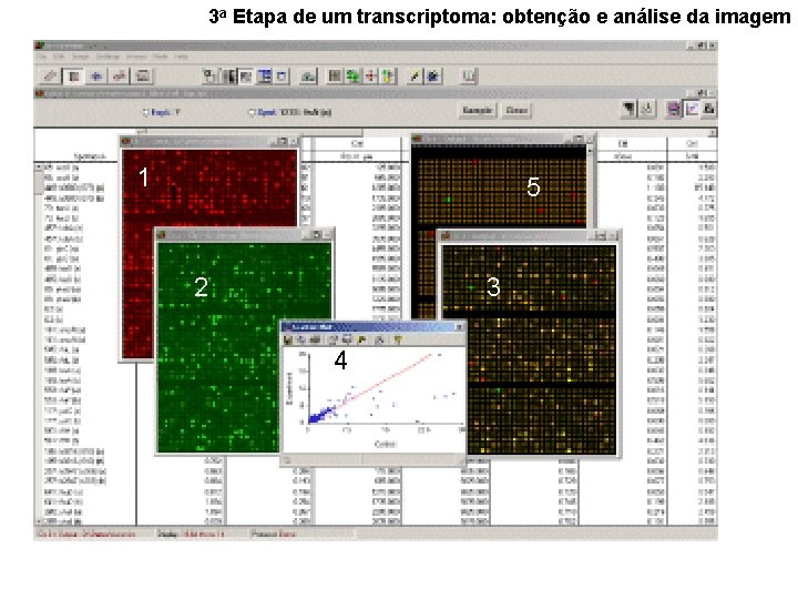 3 a Etapa de um transcriptoma: obtenção e análise da imagem 1 5 1