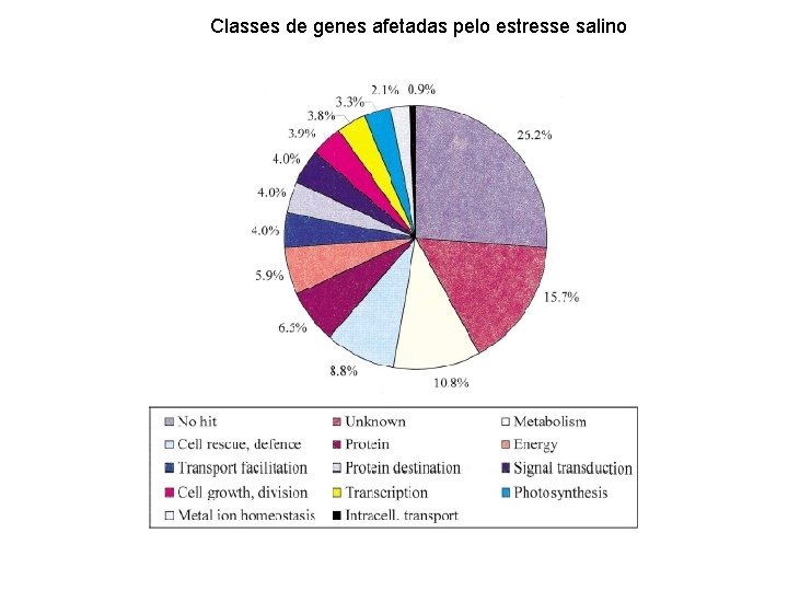 Classes de genes afetadas pelo estresse salino 