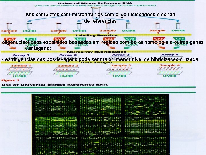 Kits completos com microarranjos com oligonucleotideos e sonda de referencias oligonucleotideos escolhidos baseados em