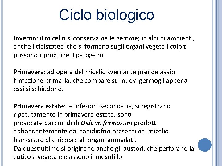 Ciclo biologico Inverno: il micelio si conserva nelle gemme; in alcuni ambienti, anche i