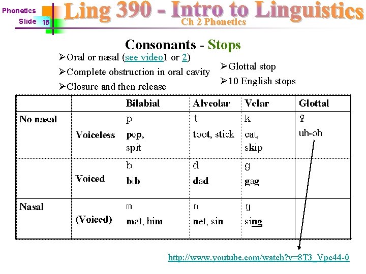 Phonetics Slide 15 Ch 2 Phonetics Consonants - Stops ØOral or nasal (see video