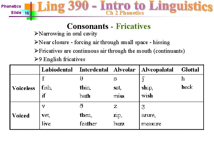 Phonetics Slide 16 Ch 2 Phonetics Consonants - Fricatives ØNarrowing in oral cavity ØNear