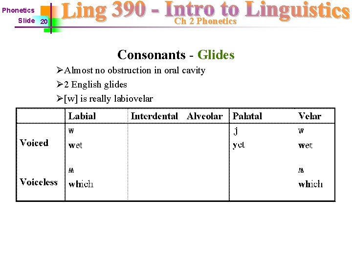 Phonetics Slide 20 Ch 2 Phonetics Consonants - Glides ØAlmost no obstruction in oral