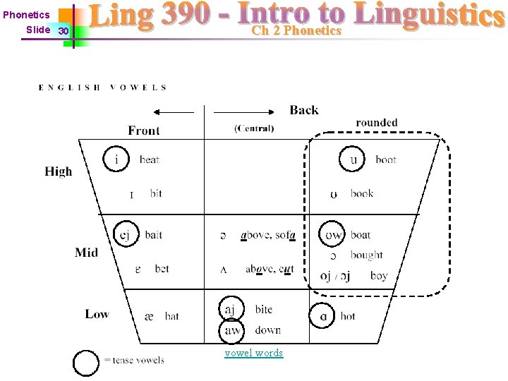 Phonetics Slide 30 Ch 2 Phonetics vowel words 