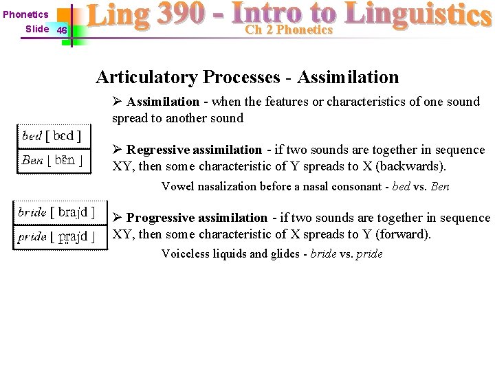 Phonetics Slide 46 Ch 2 Phonetics Articulatory Processes - Assimilation Ø Assimilation - when