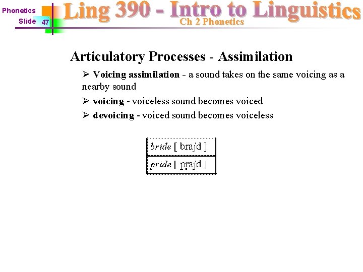 Phonetics Slide 47 Ch 2 Phonetics Articulatory Processes - Assimilation Ø Voicing assimilation -