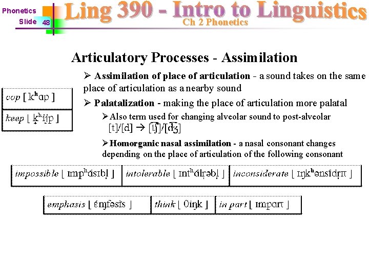 Phonetics Slide 48 Ch 2 Phonetics Articulatory Processes - Assimilation Ø Assimilation of place
