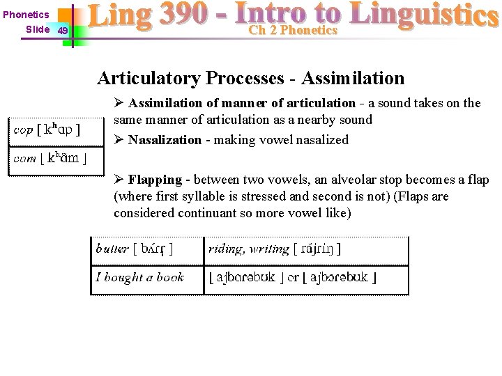 Phonetics Slide 49 Ch 2 Phonetics Articulatory Processes - Assimilation Ø Assimilation of manner