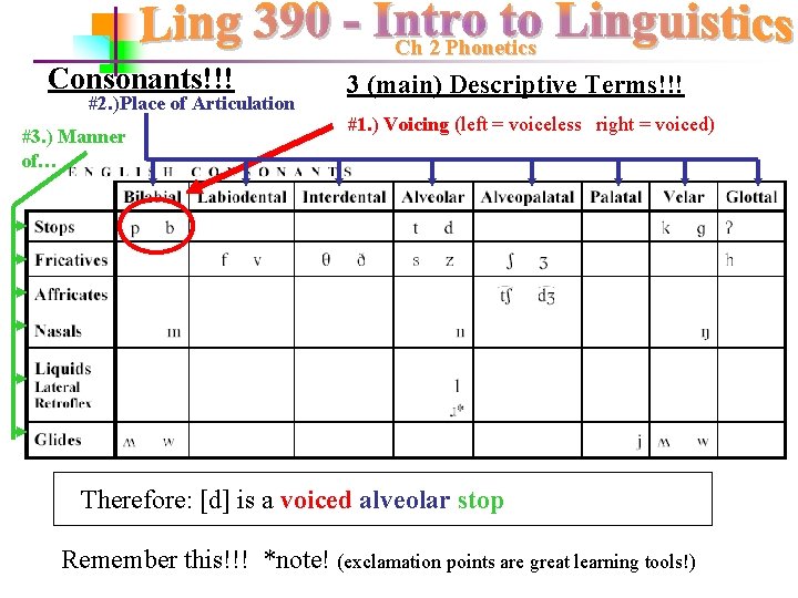 Ch 2 Phonetics Consonants!!! #2. )Place of Articulation #3. ) Manner of… 3 (main)