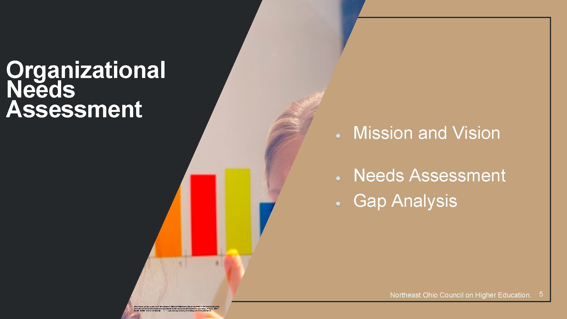 Organizational Needs Assessment Mission and Vision Needs Assessment Gap Analysis Northeast Ohio Council on