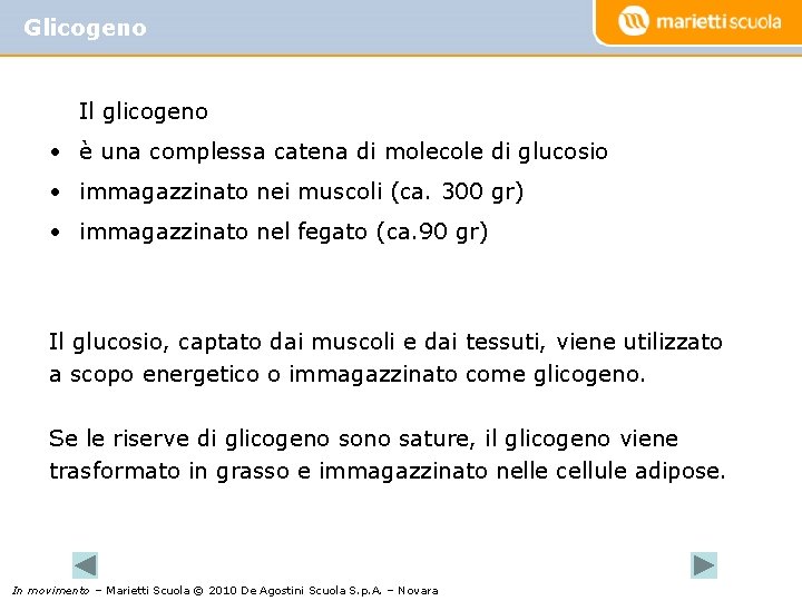 Glicogeno Il glicogeno • è una complessa catena di molecole di glucosio • immagazzinato