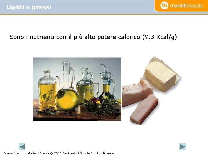 Lipidi o grassi Sono i nutrienti con il più alto potere calorico (9, 3