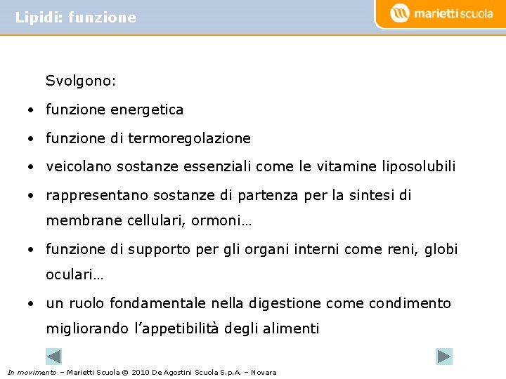 Lipidi: funzione Svolgono: • funzione energetica • funzione di termoregolazione • veicolano sostanze essenziali