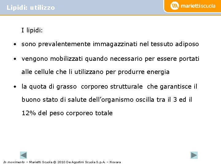 Lipidi: utilizzo I lipidi: • sono prevalentemente immagazzinati nel tessuto adiposo • vengono mobilizzati