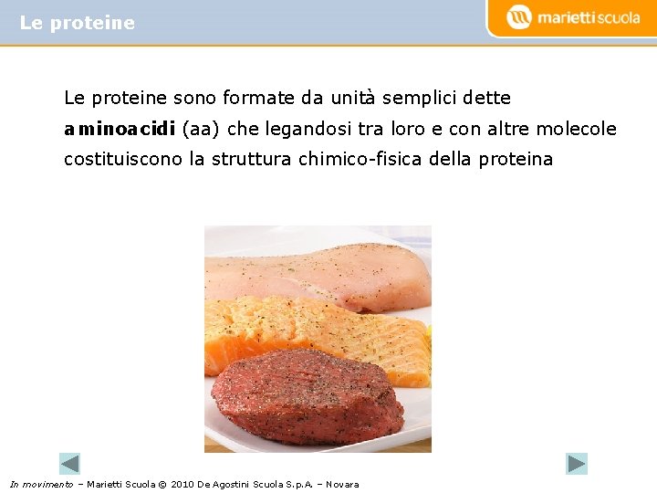 Le proteine sono formate da unità semplici dette aminoacidi (aa) che legandosi tra loro